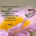 /album/frases-en-imagenes/a538807-10151339360202761-2069772923-n-copia-jpg/